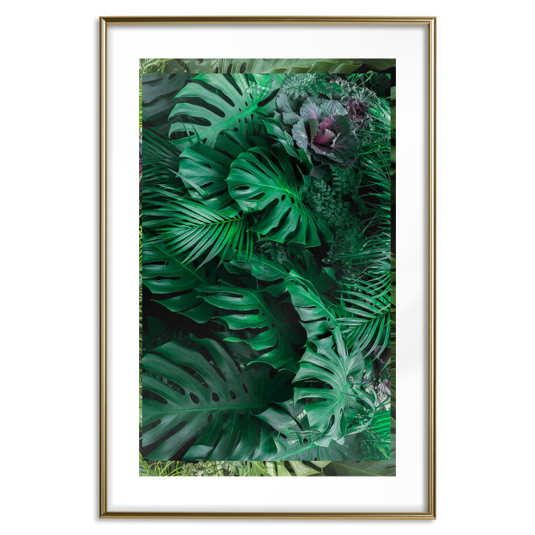 Wall Poster Dense Jungle - plant composition of tropical greenish jungle 134506 additionalImage 14