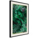 Wall Poster Dense Jungle - plant composition of tropical greenish jungle 134506 additionalThumb 2