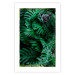Wall Poster Dense Jungle - plant composition of tropical greenish jungle 134506 additionalThumb 25