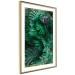 Wall Poster Dense Jungle - plant composition of tropical greenish jungle 134506 additionalThumb 7