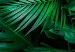 Wall Poster Dense Jungle - plant composition of tropical greenish jungle 134506 additionalThumb 12