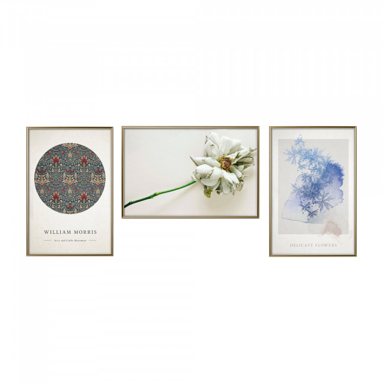 Wall art set Delicate Flowers 135806 additionalImage 1