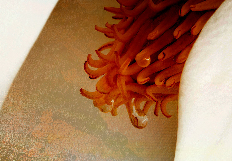 Large canvas print Magnolia Sonata [Large Format] 136406 additionalImage 5