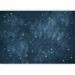 Photo Wallpaper Stars - Constellations of the Signs of the Zodiac in the Navy Blue Space 145306 additionalThumb 1