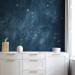 Photo Wallpaper Stars - Constellations of the Signs of the Zodiac in the Navy Blue Space 145306 additionalThumb 6