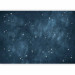 Photo Wallpaper Stars - Constellations of the Signs of the Zodiac in the Navy Blue Space 145306 additionalThumb 5