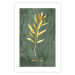 Wall Poster Original Plant - Fragment of an Olive Tree on a Marble Background 148906 additionalThumb 21