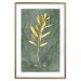 Wall Poster Original Plant - Fragment of an Olive Tree on a Marble Background 148906 additionalThumb 24