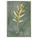 Wall Poster Original Plant - Fragment of an Olive Tree on a Marble Background 148906 additionalThumb 23