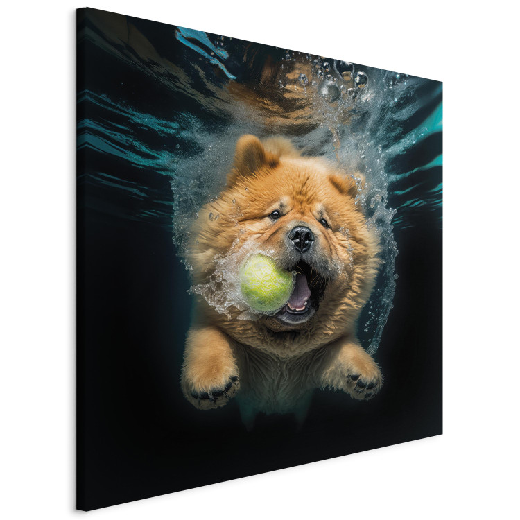 Canvas AI Dog Chow Chow - Floating Animal With a Ball in Its Mouth - Square 150206 additionalImage 2