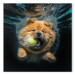 Canvas AI Dog Chow Chow - Floating Animal With a Ball in Its Mouth - Square 150206 additionalThumb 7