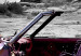 Canvas Print Retro car at Colorado Desert - 4 pieces 59006 additionalThumb 4