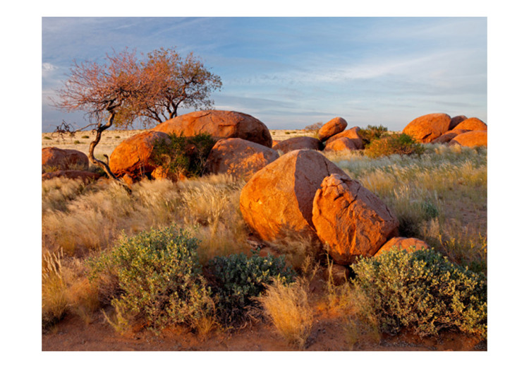 Wall Mural African Landscape in Namibia - African savannah nature with rocks 61406 additionalImage 1