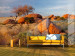 Wall Mural African Landscape in Namibia - African savannah nature with rocks 61406