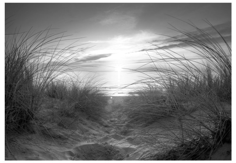 Photo Wallpaper Beach (black and white) 61606 additionalImage 1