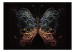 Photo Wallpaper Animals - a stately butterfly with ornate wings on a black background 89006 additionalThumb 1