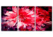 Canvas Crimson Flowers 90006