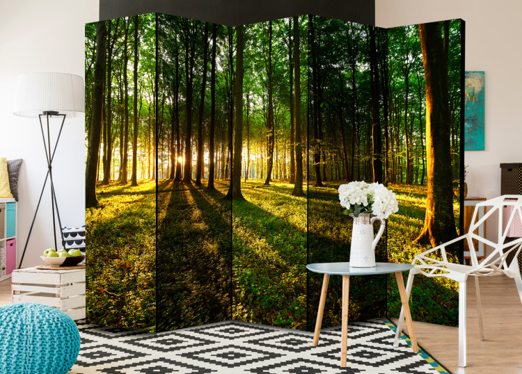 Folding Screen Morning in the Forest II - forest landscape of trees in the motif of sunrise 95506 additionalImage 2