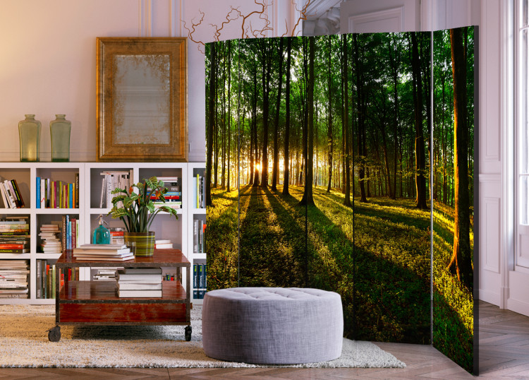 Folding Screen Morning in the Forest II - forest landscape of trees in the motif of sunrise 95506 additionalImage 4