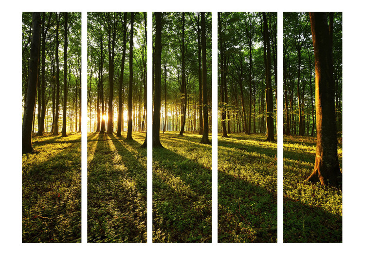 Folding Screen Morning in the Forest II - forest landscape of trees in the motif of sunrise 95506 additionalImage 3