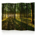 Folding Screen Morning in the Forest II - forest landscape of trees in the motif of sunrise 95506