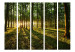Folding Screen Morning in the Forest II - forest landscape of trees in the motif of sunrise 95506 additionalThumb 3