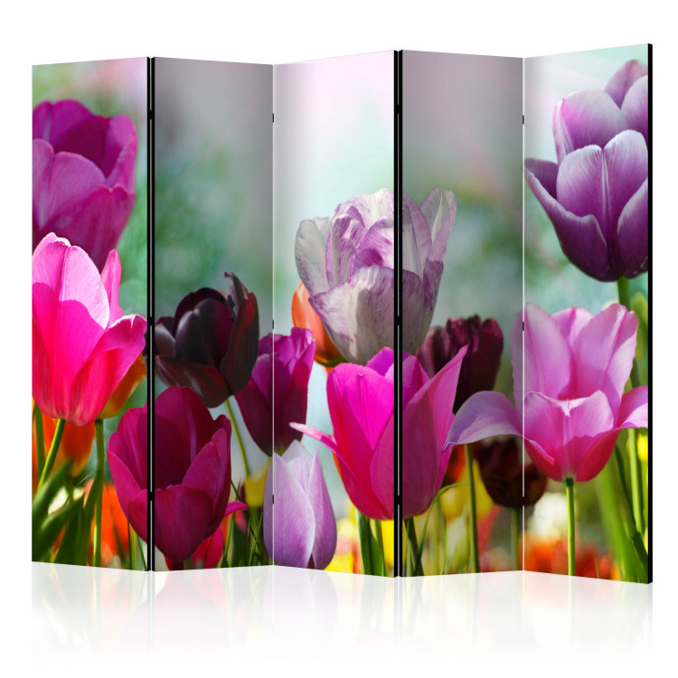 Room Separator Beautiful Tulips II - colorful spring flowers in a watercolor-style meadow 97006