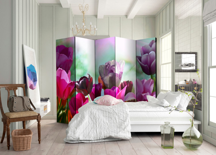 Room Separator Beautiful Tulips II - colorful spring flowers in a watercolor-style meadow 97006 additionalImage 4