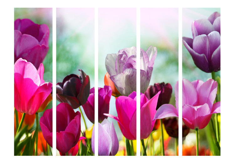Room Separator Beautiful Tulips II - colorful spring flowers in a watercolor-style meadow 97006 additionalImage 3