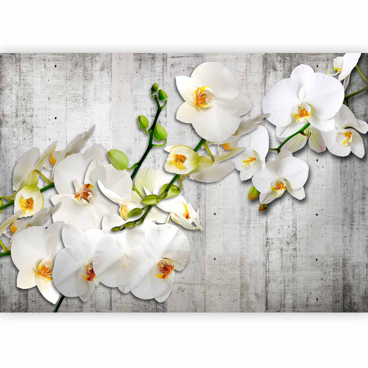 Photo Wallpaper White orchids with orange accent - flower motif on grey background 97306 additionalImage 1
