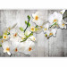 Photo Wallpaper White orchids with orange accent - flower motif on grey background 97306 additionalThumb 1