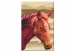 Paint by Number Kit Horse Portrait 107516 additionalThumb 6