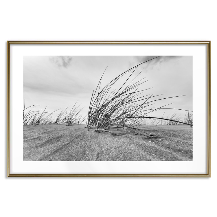 Poster Seaside reeds - black and white landscape with vegetation on sand 114916 additionalImage 14