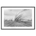 Poster Seaside reeds - black and white landscape with vegetation on sand 114916 additionalThumb 15