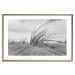 Poster Seaside reeds - black and white landscape with vegetation on sand 114916 additionalThumb 14