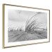 Poster Seaside reeds - black and white landscape with vegetation on sand 114916 additionalThumb 6