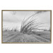Poster Seaside reeds - black and white landscape with vegetation on sand 114916 additionalThumb 16