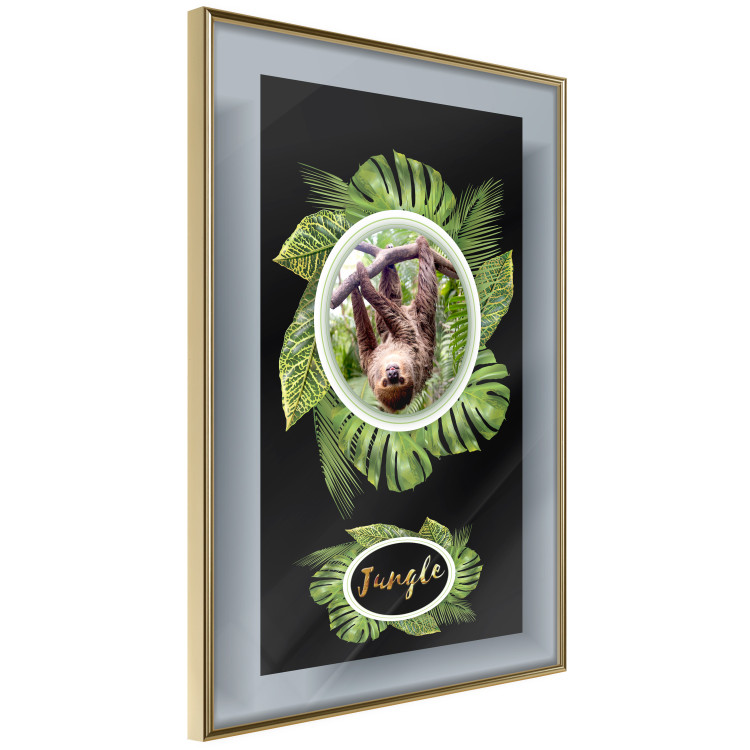 Wall Poster Sloth - brown mammal and tropical green leaves on a black background 116316 additionalImage 12