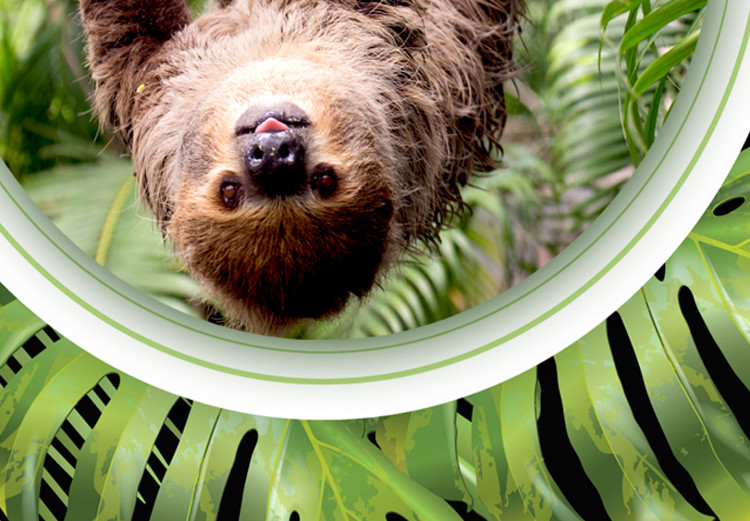Wall Poster Sloth - brown mammal and tropical green leaves on a black background 116316 additionalImage 10