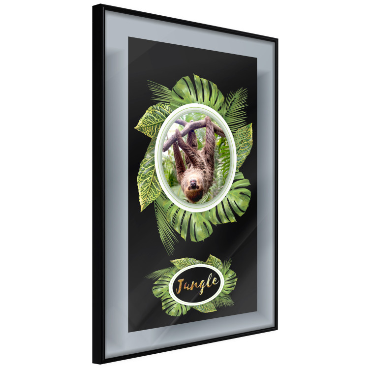 Wall Poster Sloth - brown mammal and tropical green leaves on a black background 116316 additionalImage 11