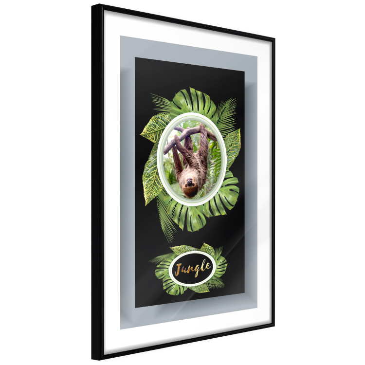 Wall Poster Sloth - brown mammal and tropical green leaves on a black background 116316 additionalImage 6