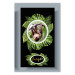 Wall Poster Sloth - brown mammal and tropical green leaves on a black background 116316