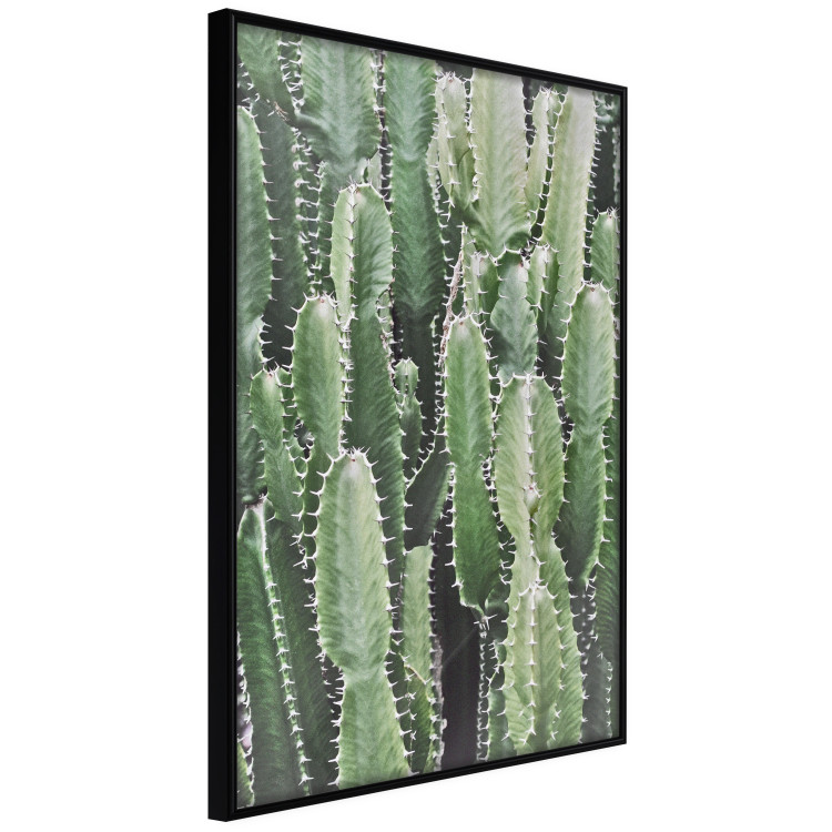 Wall Poster Cactus Garden - composition with prickly plants in green colors 117116 additionalImage 10