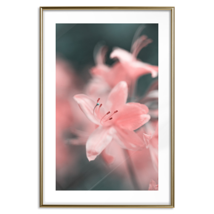 Poster Pastel Flowers - botanical composition with pink floral petals 121616 additionalImage 20