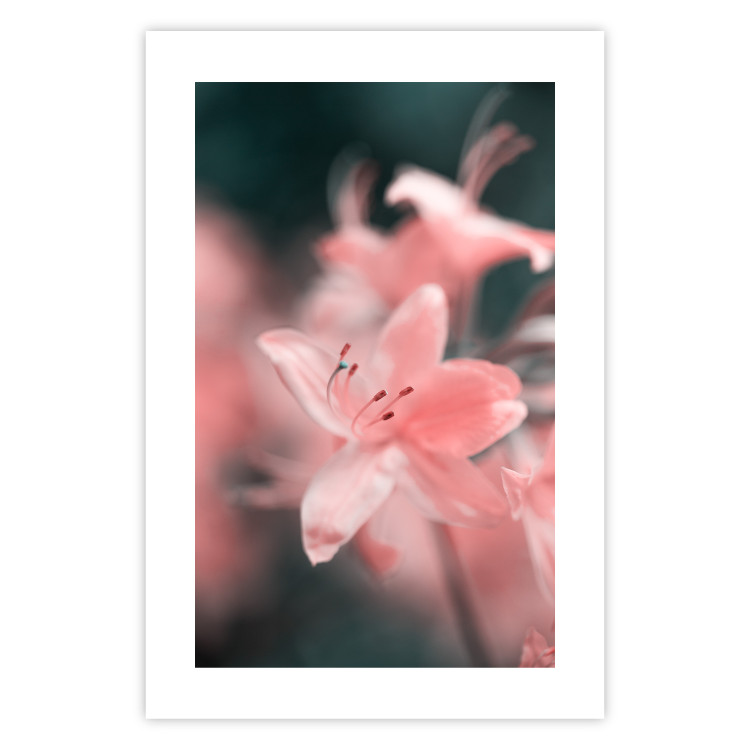 Poster Pastel Flowers - botanical composition with pink floral petals 121616 additionalImage 16
