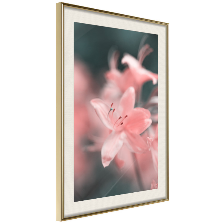 Poster Pastel Flowers - botanical composition with pink floral petals 121616 additionalImage 2