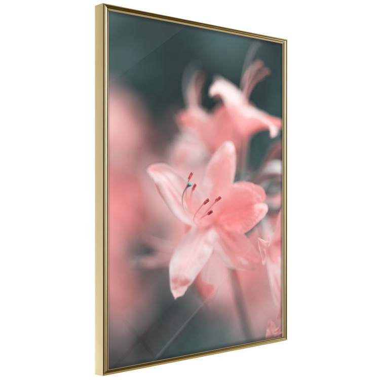 Poster Pastel Flowers - botanical composition with pink floral petals 121616 additionalImage 14