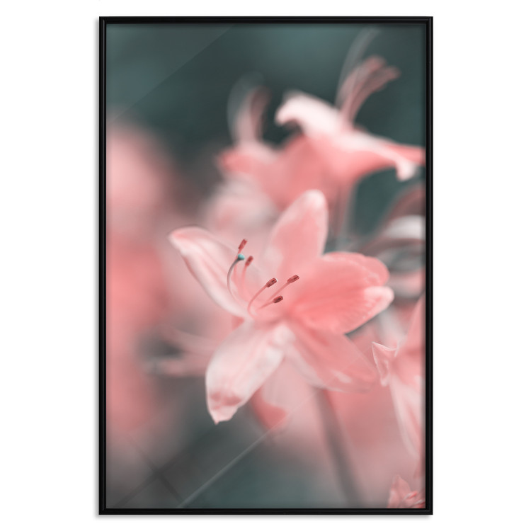 Poster Pastel Flowers - botanical composition with pink floral petals 121616 additionalImage 17