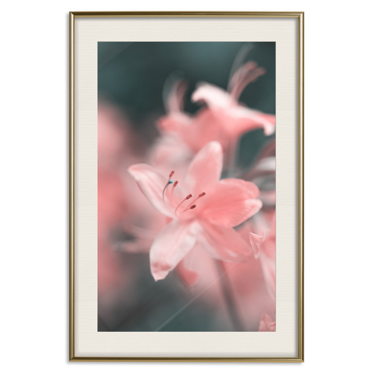 Poster Pastel Flowers - botanical composition with pink floral petals 121616 additionalImage 24