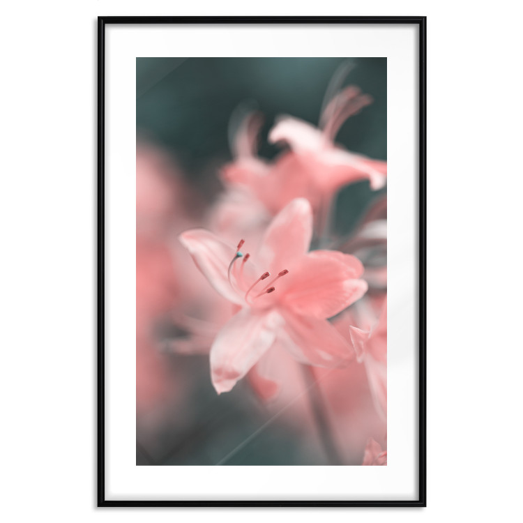 Poster Pastel Flowers - botanical composition with pink floral petals 121616 additionalImage 26